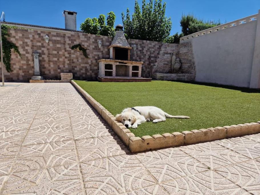 Primera Planta Completa, El Álamo Exterior foto